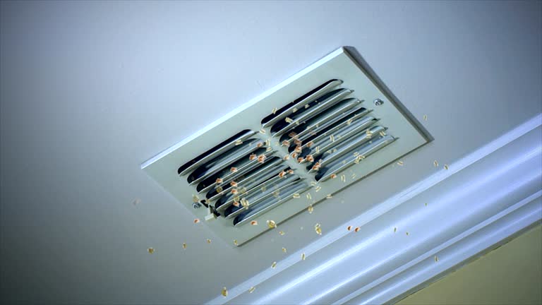 Best Air Duct Cleaning Company Near Me  in Tanaina, AK
